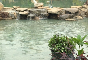 卓思道温泉第 51 张图片