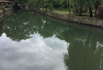 苍坡古村第 74 张图片
