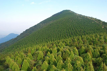 百山祖景区第 31 张图片