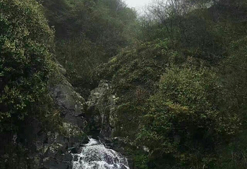 朱旺村第 23 张图片
