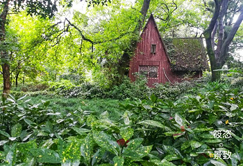 杭州花圃第 6 张图片