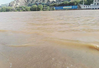 黄河湿地生态公园第 12 张图片