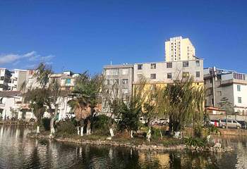 龙江公园第 6 张图片
