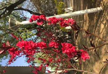 天津大学第 8 张图片