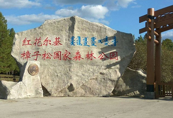 红花尔基樟子松国家森林公园第 38 张图片