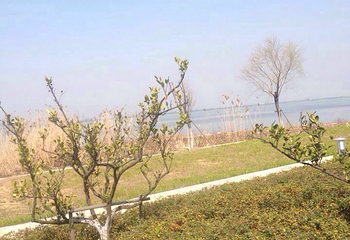 昆山巴城阳澄湖大闸蟹养殖基地第 4 张图片