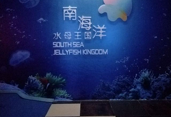 南海洋水母王国第 20 张图片