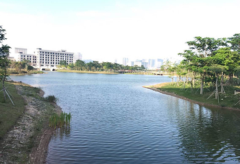 澳门大学第 19 张图片