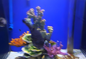 正佳极地海洋世界第 63 张图片