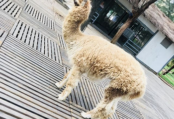 翡翠湾旅游度假中心第 27 张图片