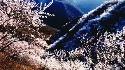 翠枫山自然风景区第 69 张图片