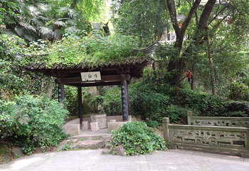 府山第 15 张图片