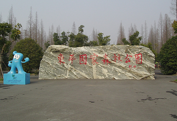 东平国家森林公园第 54 张图片
