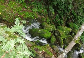 青山沟国家重点风景名胜区第 19 张图片
