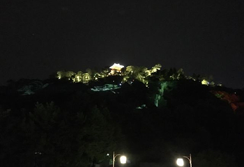 镜湖国家城市湿地公园第 31 张图片