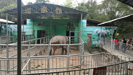 柳州动物园第 22 张图片