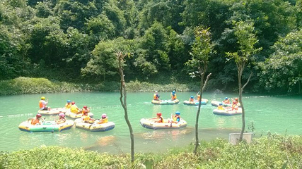 大王岭原始森林第 26 张图片