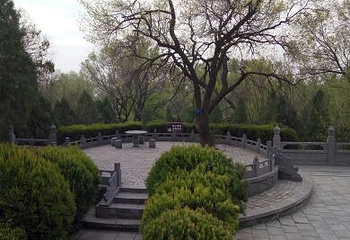 嵩阳景区第 42 张图片