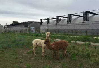 溧阳翠谷庄园第 6 张图片