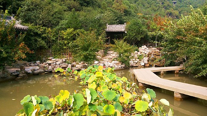 太山龙泉寺第 16 张图片