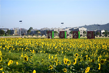 太原康培稻田公园第 31 张图片