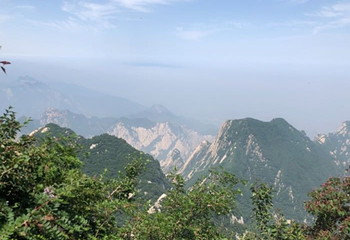 华山特产第 26 张图片
