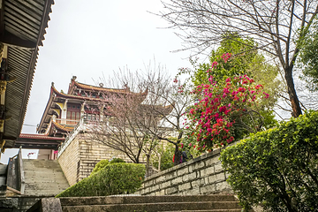 梅峰寺第 21 张图片