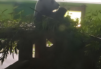 石家庄市动物园第 42 张图片