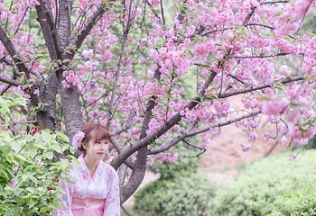 桂阳樱花园第 15 张图片