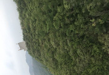 黄金寨原生态旅游区第 77 张图片