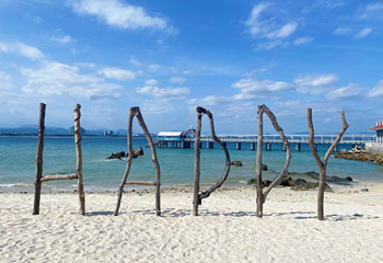 大东海第 75 张图片