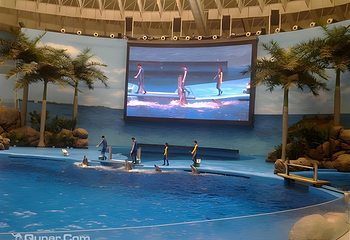 海合安成都极地海洋公园第 64 张图片