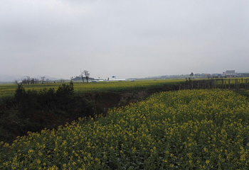 罗平航空房车露营地第 19 张图片