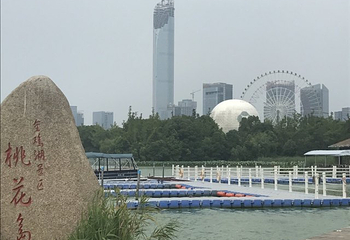 金鸡湖桃花岛第 20 张图片