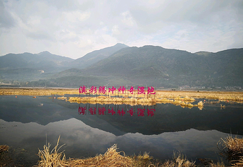 北海湿地第 61 张图片
