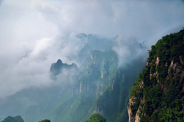 王莽岭风景区第 75 张图片