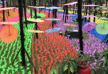 重庆歌乐山桃花谷第 16 张图片