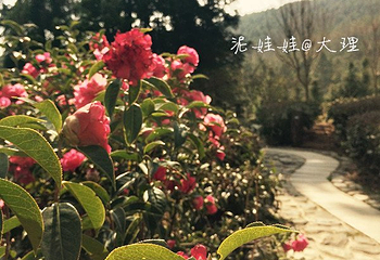 桃溪谷生态庄园第 12 张图片