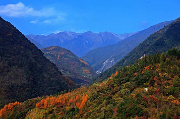 观雾山第 17 张图片