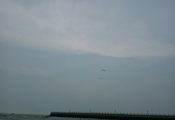 万宝赶海园第 30 张图片