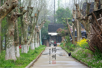 扬州大学(荷花池校区)第 13 张图片