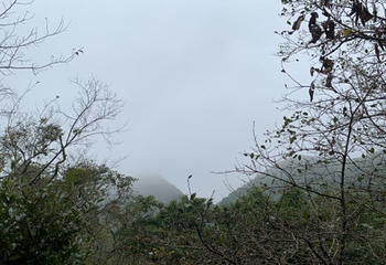 可邑小镇第 61 张图片