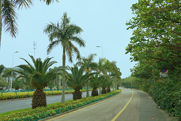 环岛路第 67 张图片