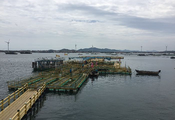桑沟湾海洋牧场第 10 张图片