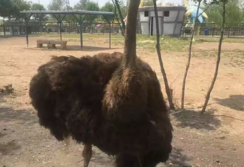 光合谷旅游度假区第 70 张图片