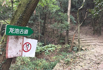 龙池山第 19 张图片