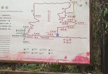 仙台山第 19 张图片