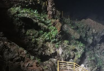 杨梅古洞景区第 7 张图片