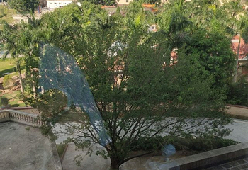 千江温泉第 51 张图片
