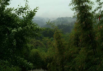 凌云山风景区第 54 张图片